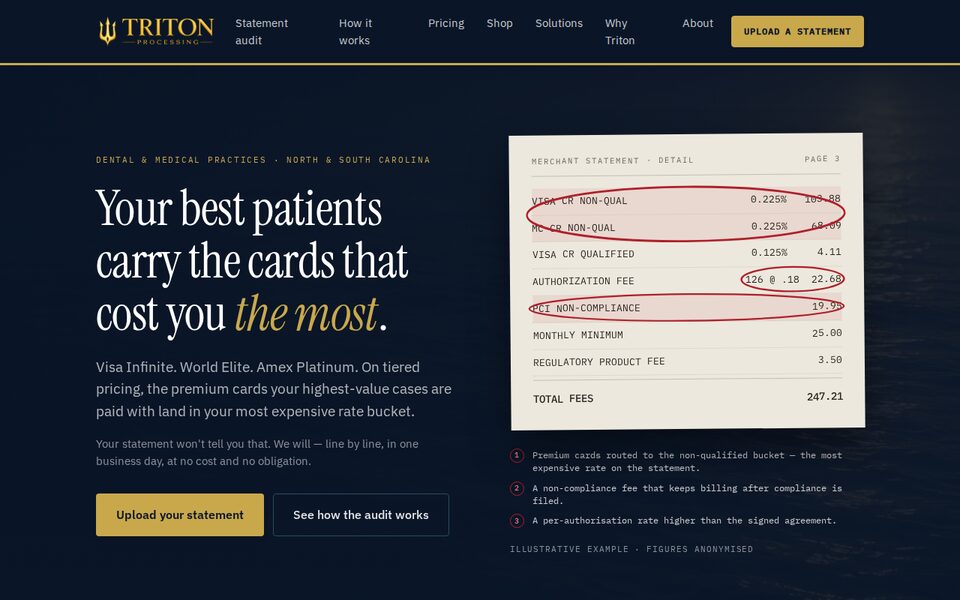 Triton Processing website screenshot